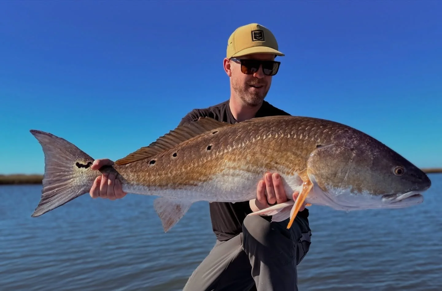 Last minute cancellations! Jan 05 and 08. Get in touch if you&rsquo;d like to snag one or both of these dates and/or any others!