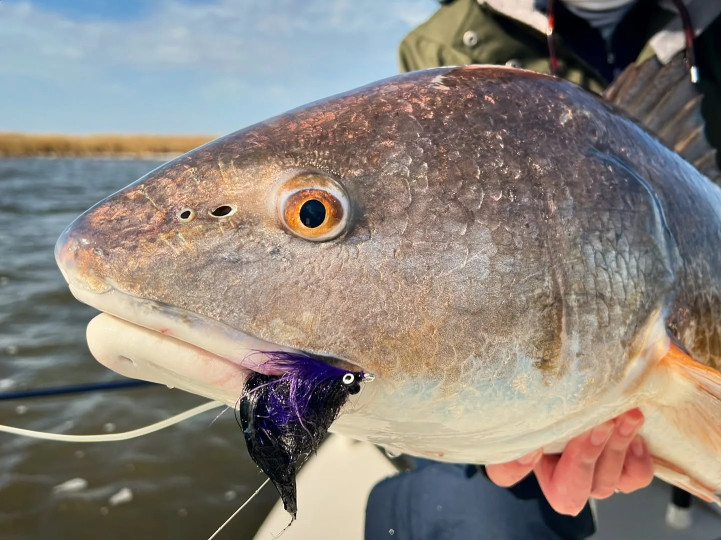 Her first Louisiana redfish, but not her last!