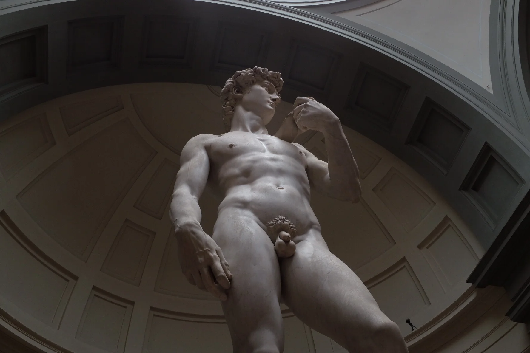 Michelangelo's David