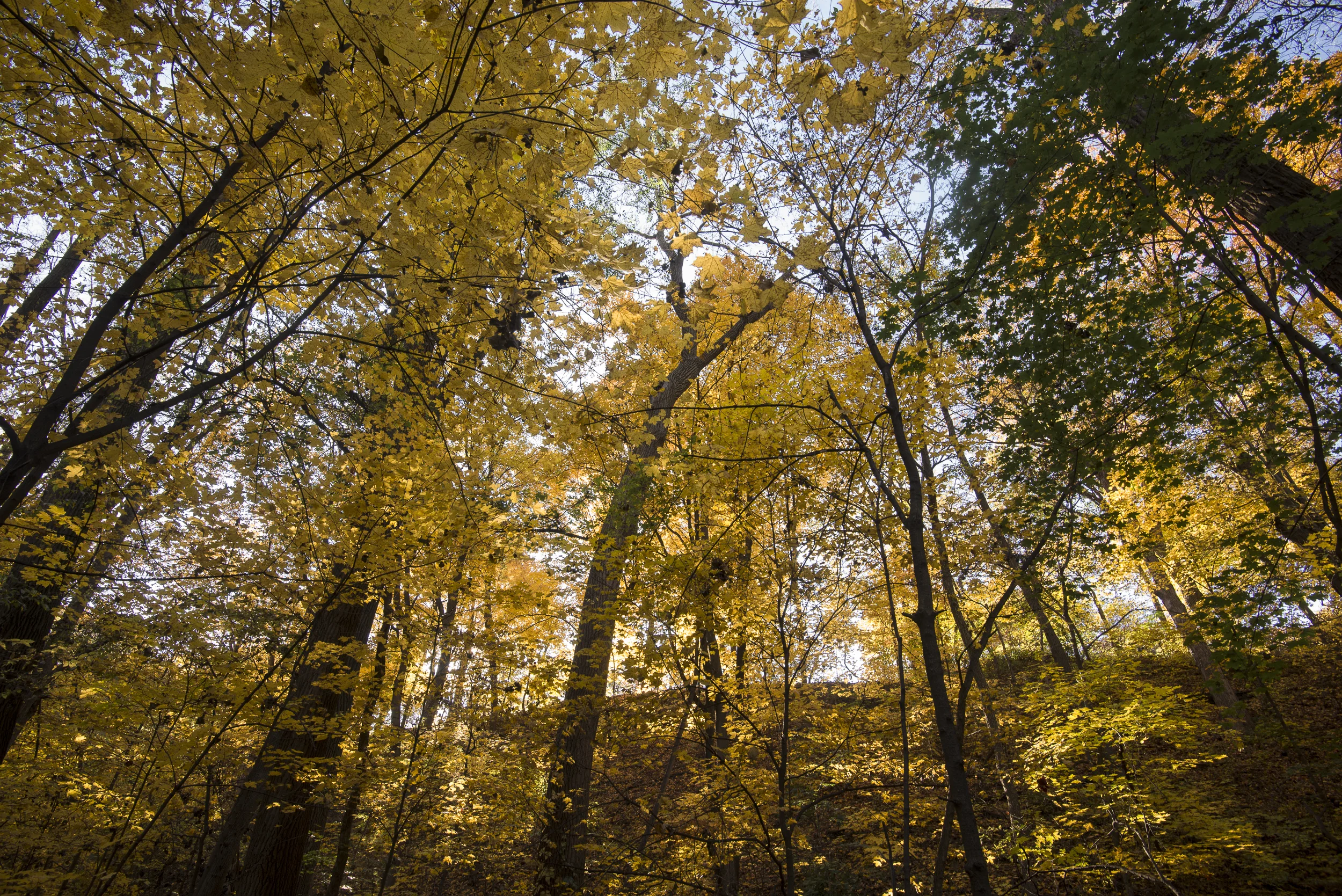 autumnport-25.jpg