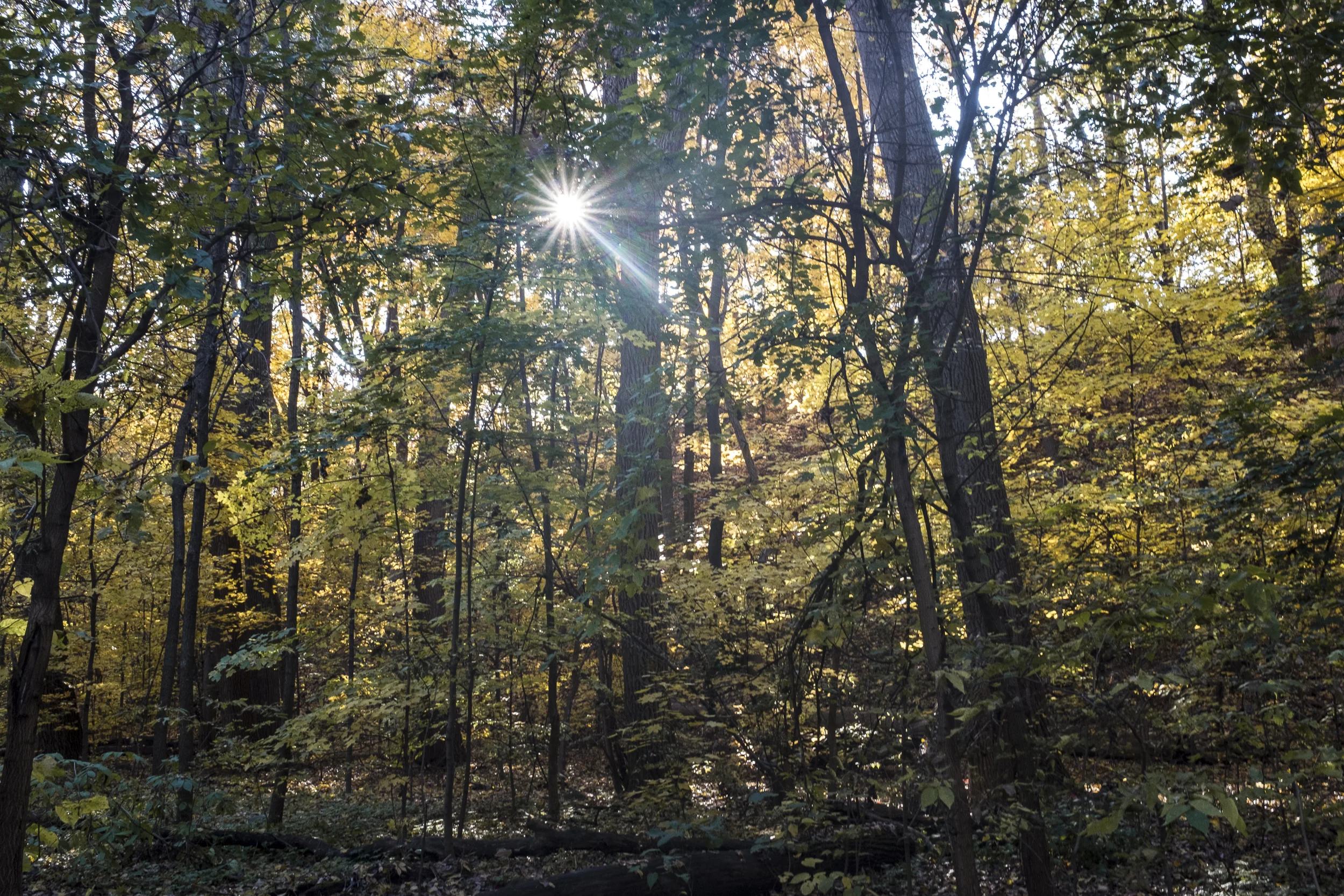 autumnport-29.jpg