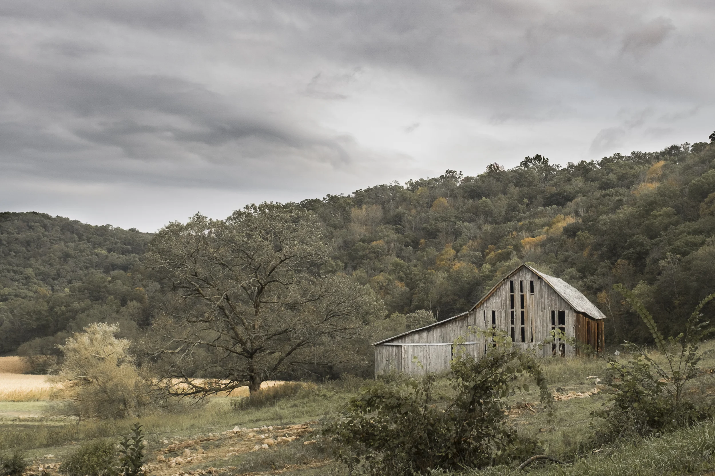 autumnport-33.jpg