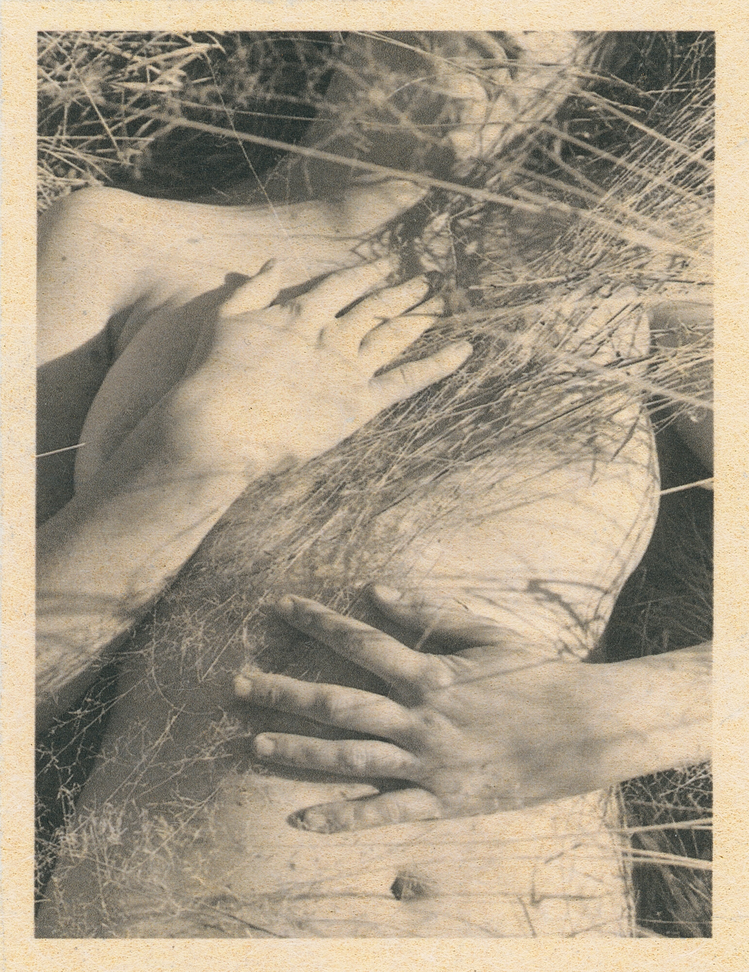 JuliaCMartin_ECLE_03.jpg