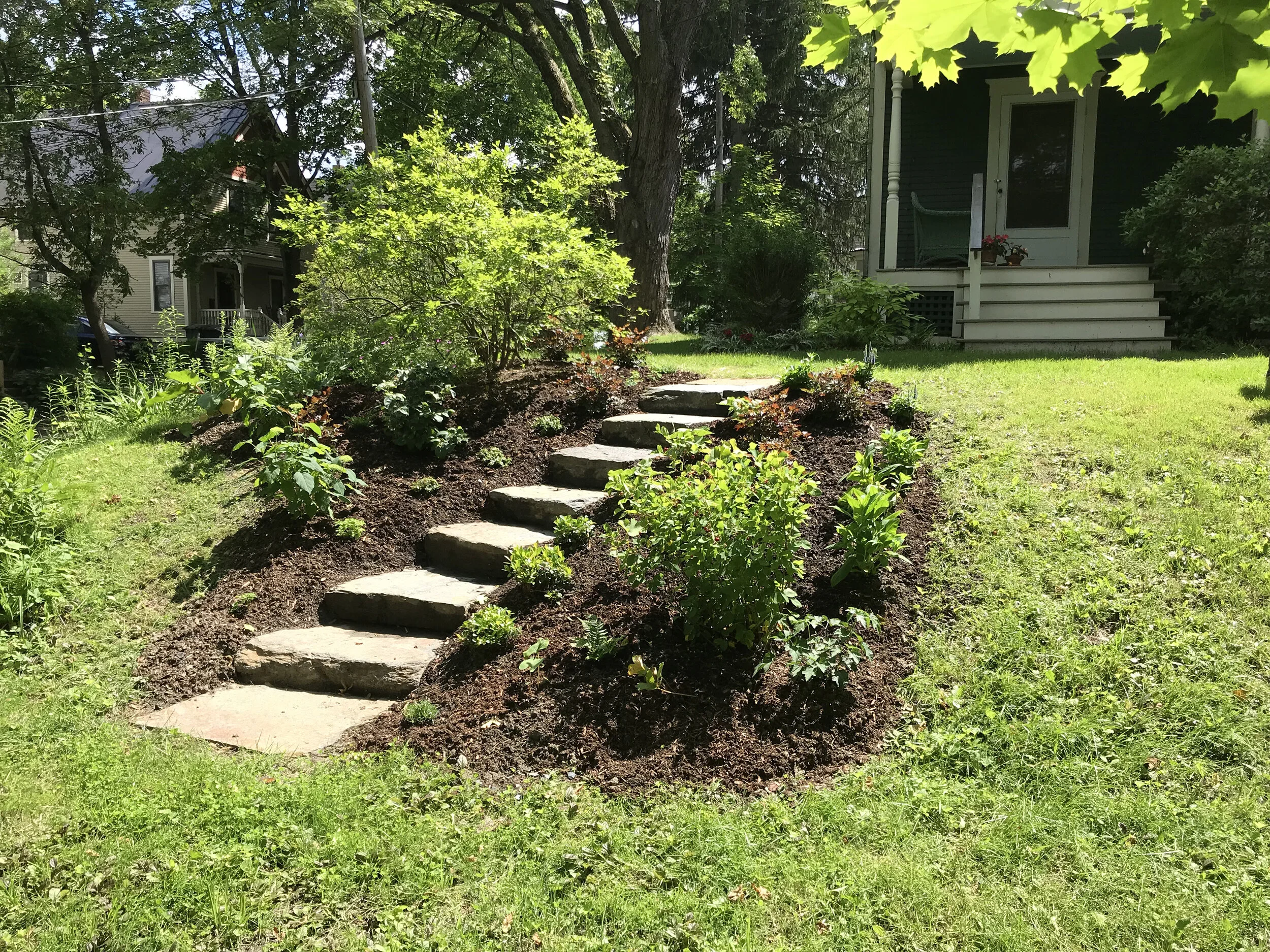 Ehrlich_with planting stone steps.jpg