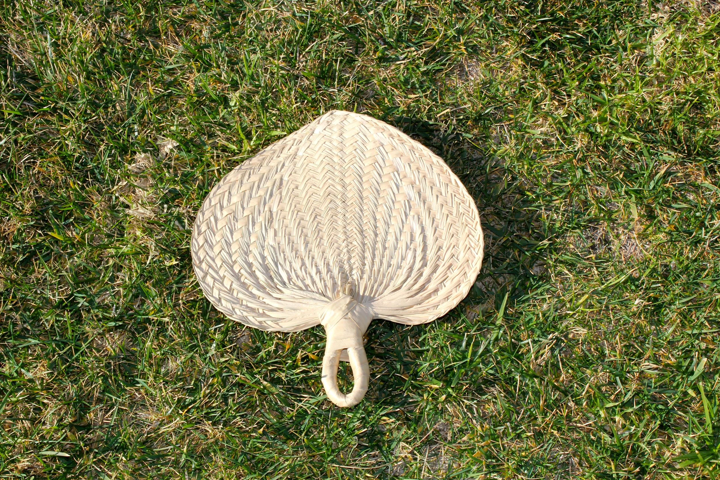 IMG_3786.jpg
