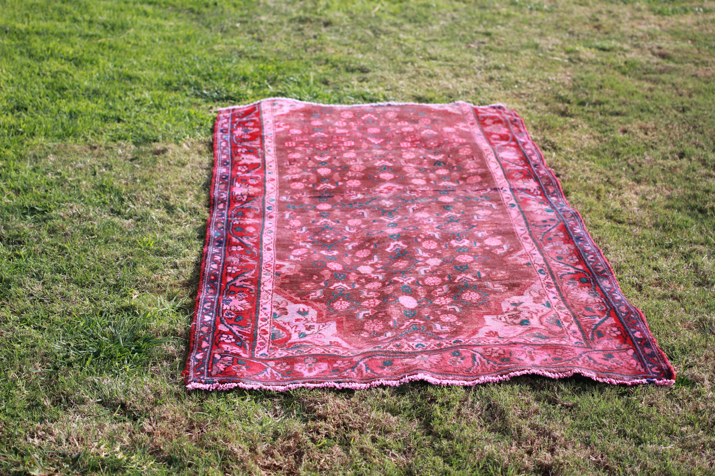 Deep Pink Persian Rug — Otis + Pearl Partywares