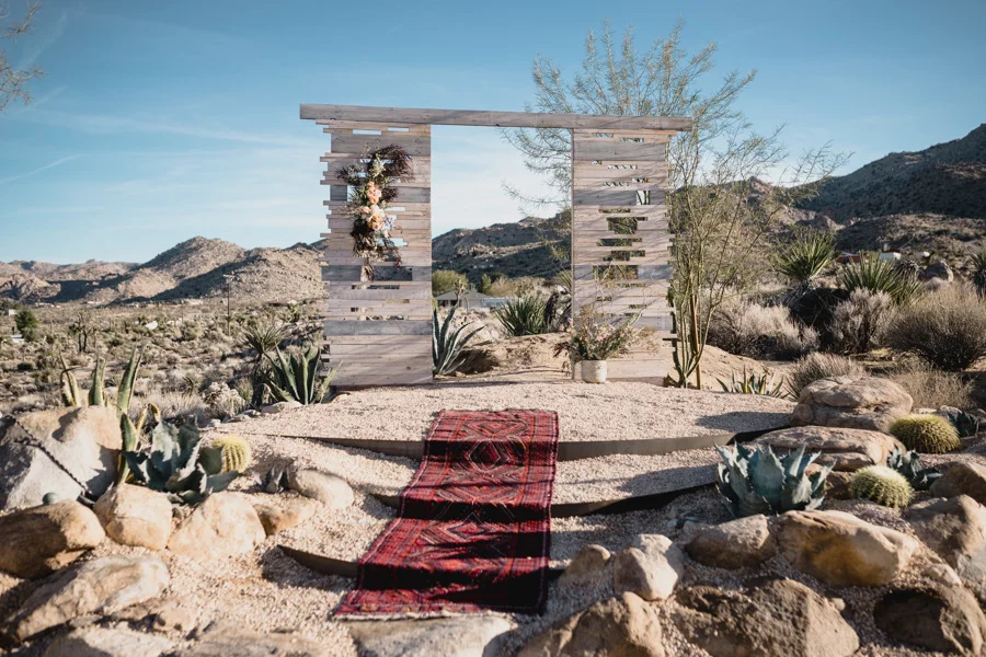 joshua tree styled shot-127.jpg