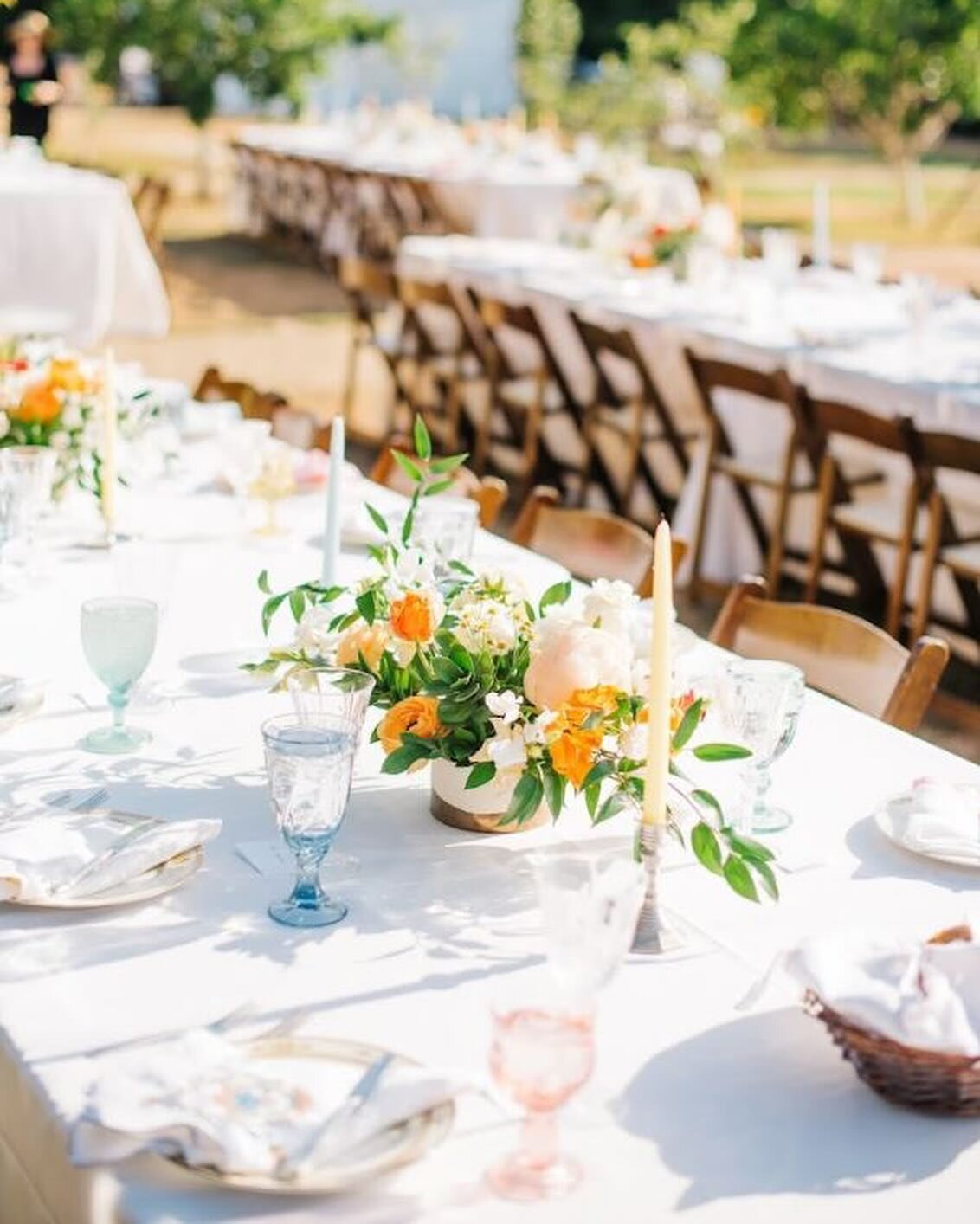 Beautiful Spring colors and sunshine for this Ojai wedding with @whitesageevents + @cararobbinsstudio! 

#ojaiwedding #summerwedding #805wedding #ojai #vintagechina