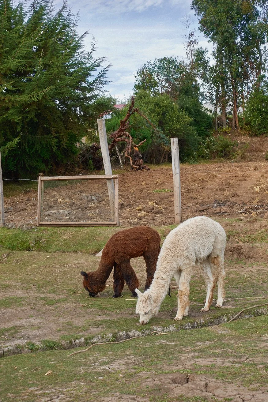2025_May_Per_Colombia_Trip_0191.jpg