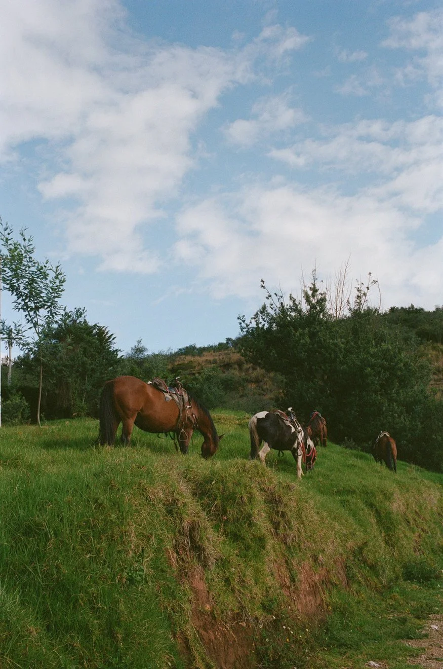 Peru_Colombia_Film_0040.jpg