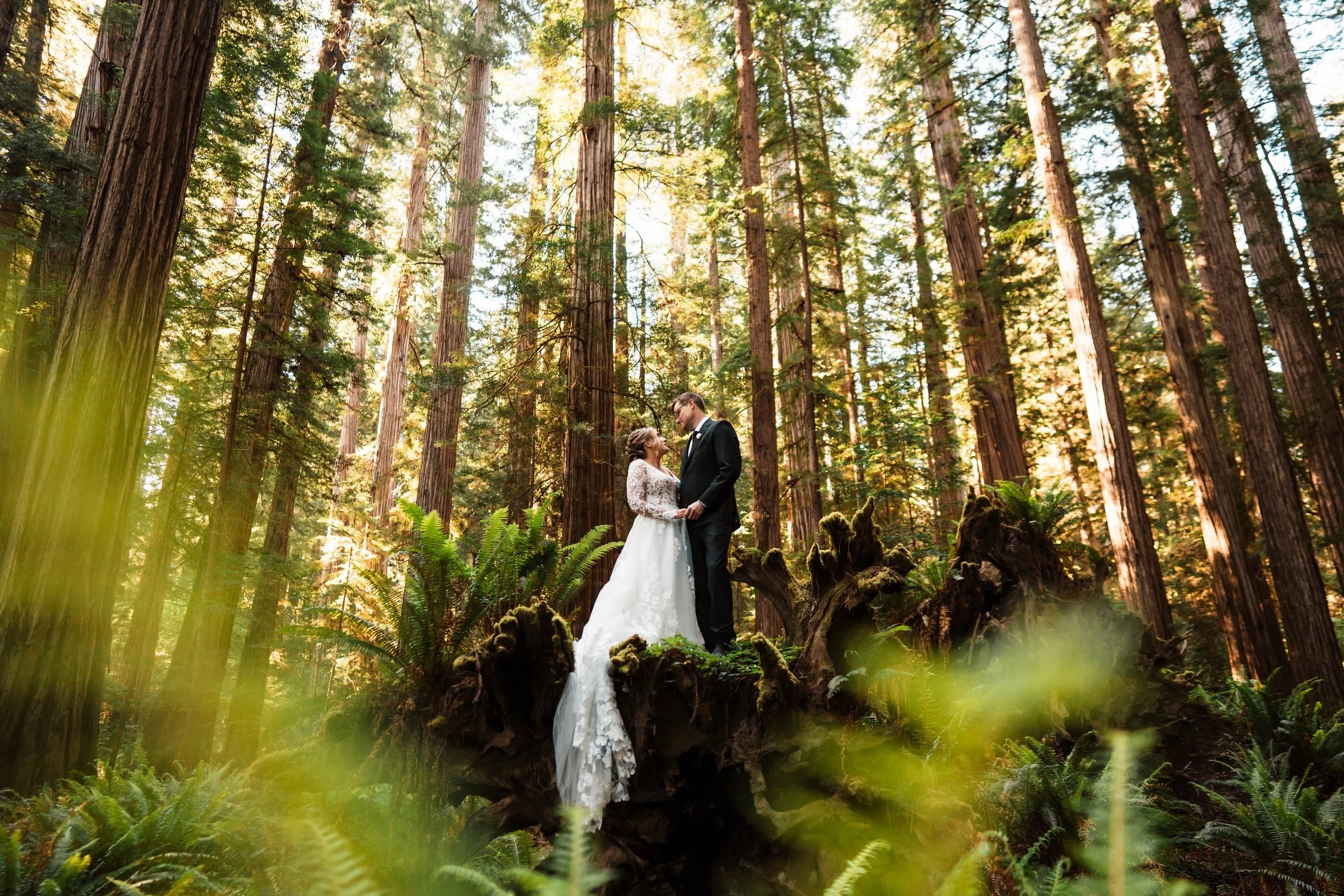 Please allow me to introduce MCD&rsquo;s newest attorney on retainer 😏 had the elopement of my DREAMS in the Redwoods/Oregon coast. we are currently on our honeymoon while Caitlin and Morgan hold down the fort at home! 🤍

📸 @thefoxes