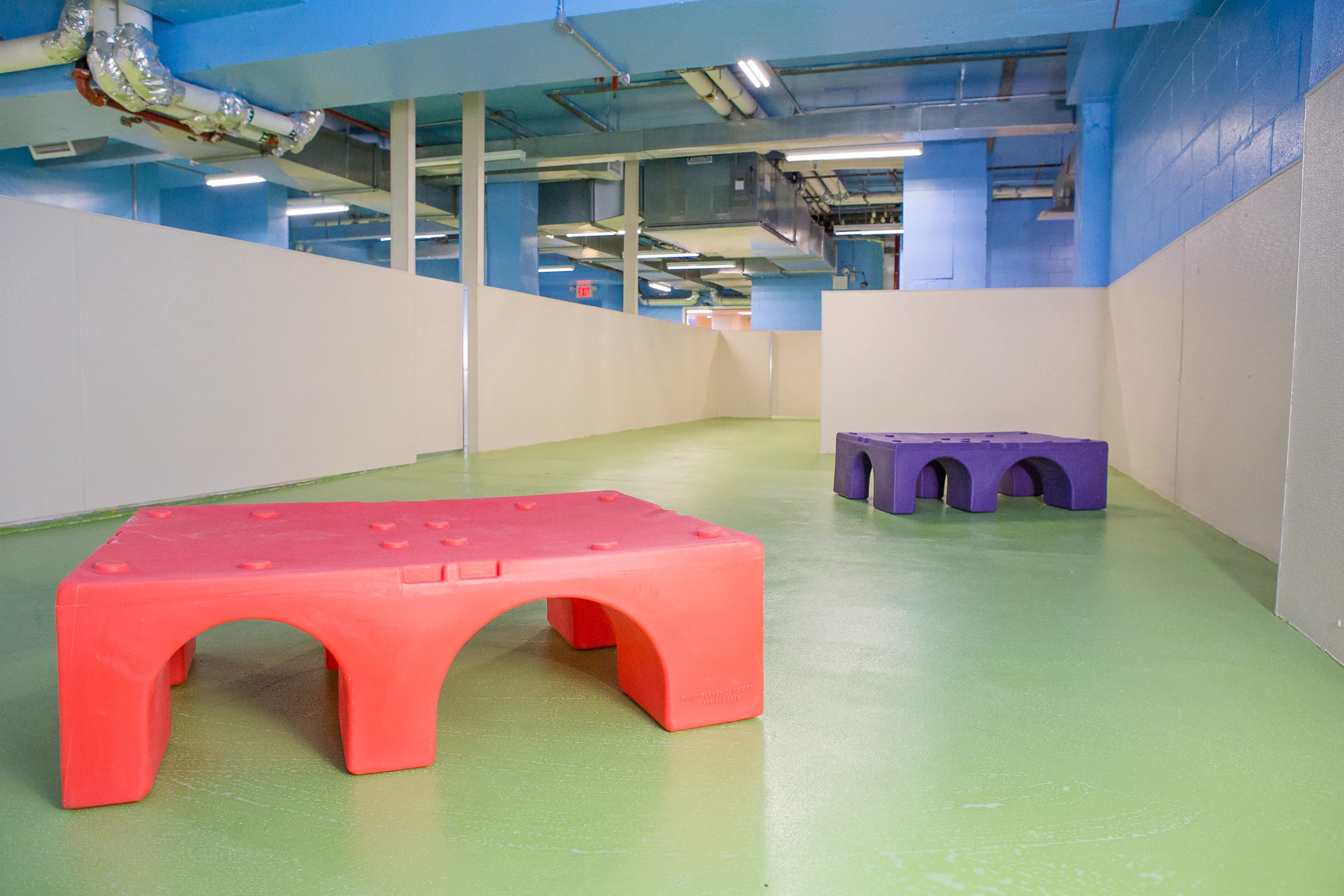  SEPARATE Play Area For SMALL DOGs