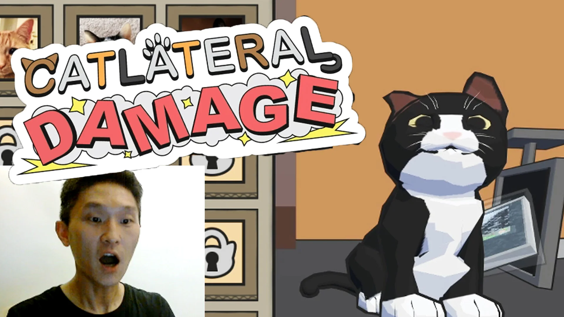 Let's game! Cutest cat ever destroys everything in sight.