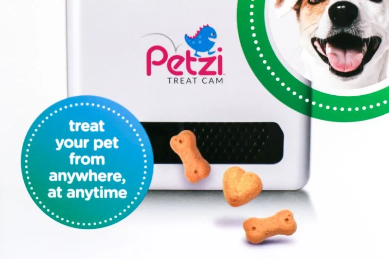 CE week: With Petzi you can play fetch, throw your dog a bone -from work!