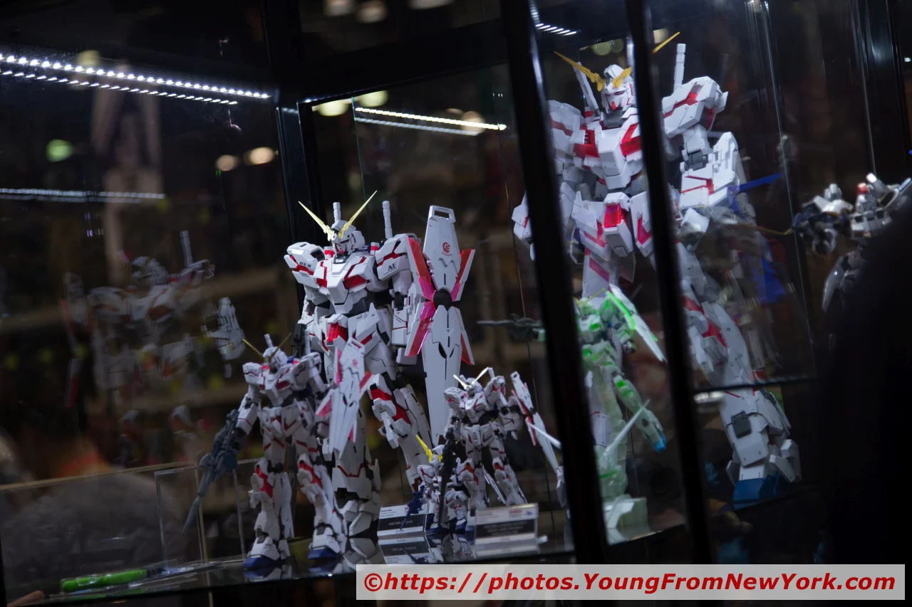 111717_AnimeNYC_D1-35_edit_new.jpg