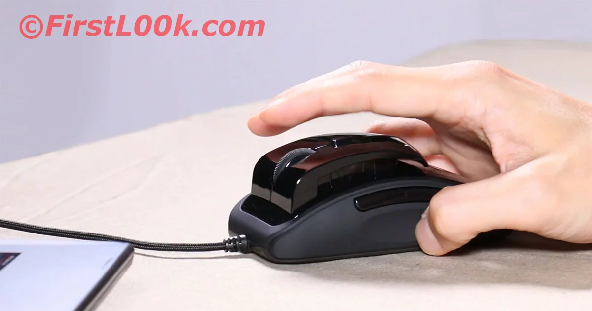 RBT_Mouse.jpg