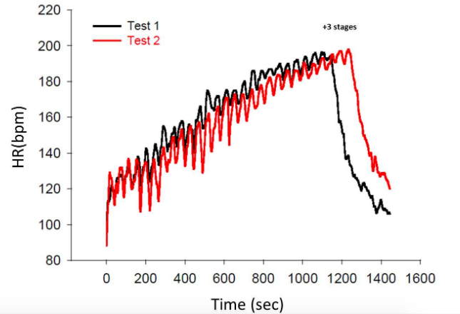 Figure 3. Effects of 8 weeks of HIT training on VIFT and HR