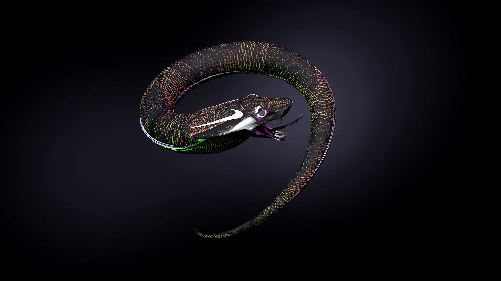 snake__B_2 copy.jpg