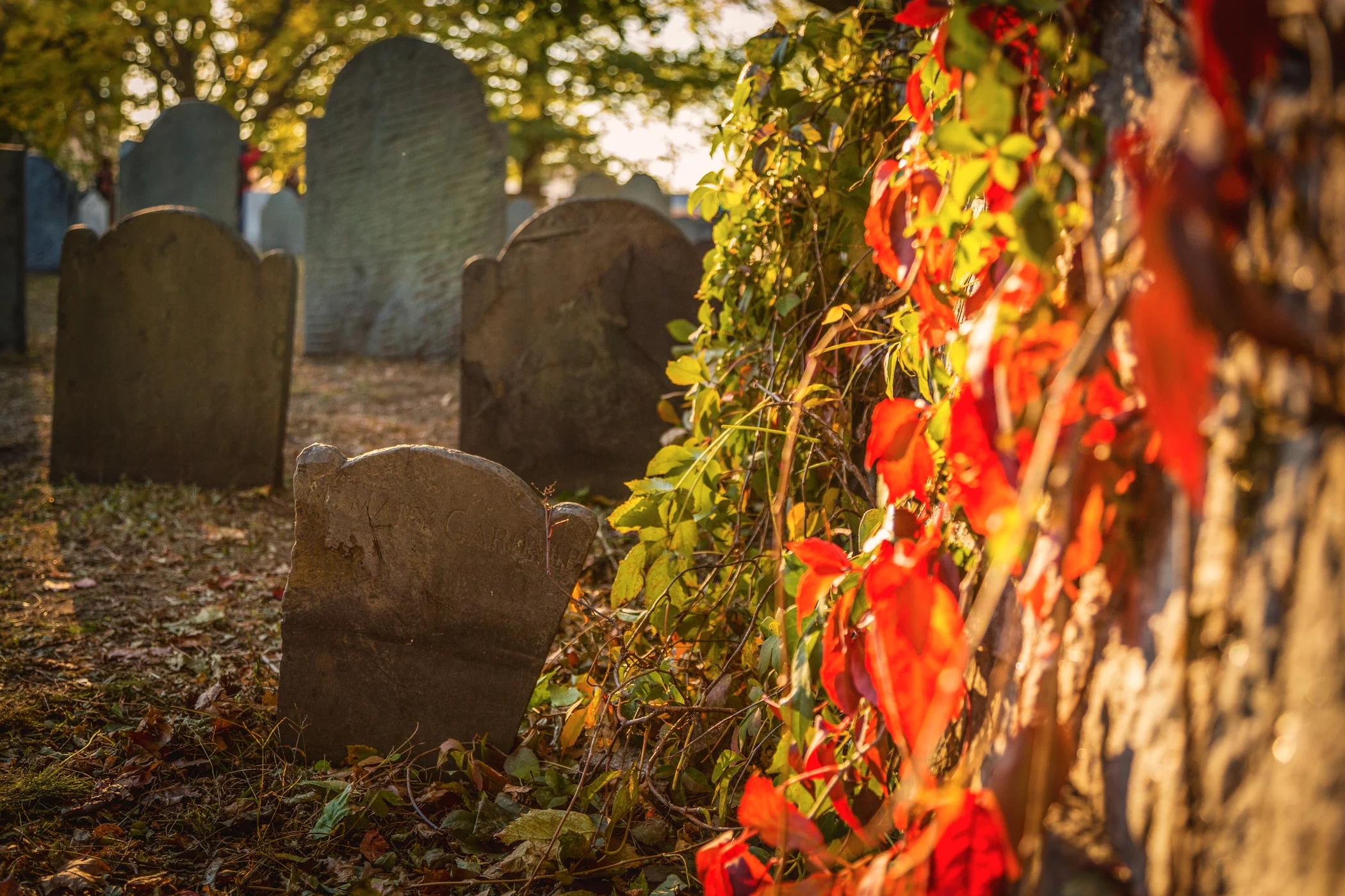 038A9523-Edit-Edit.jpg