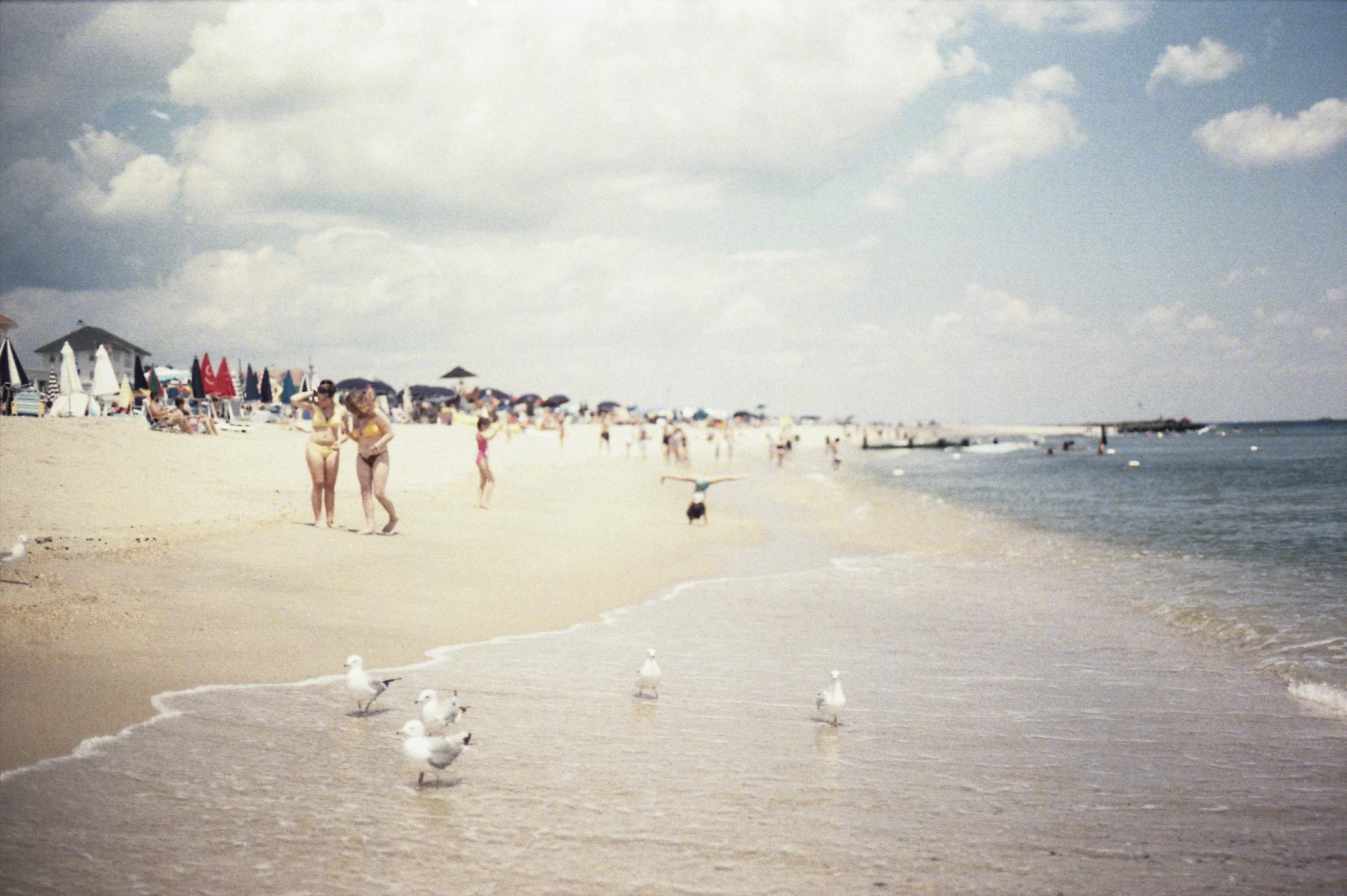 Farewell, Summer