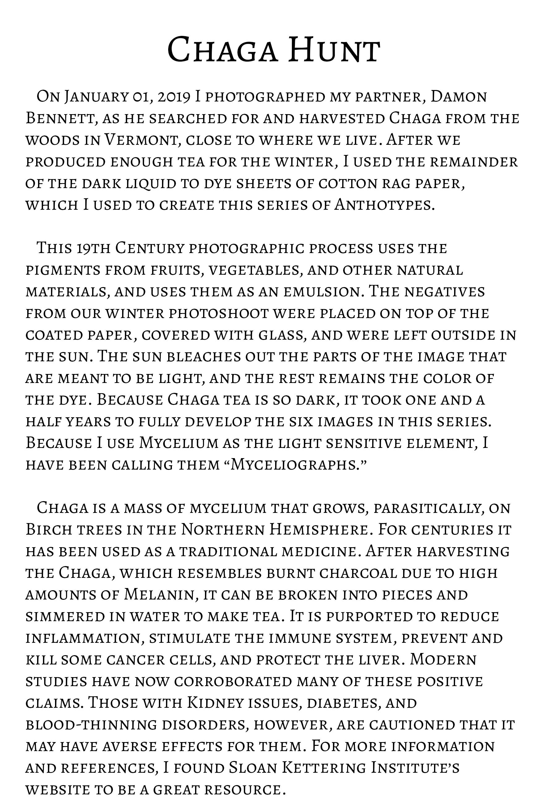ChagaDescription2.jpg