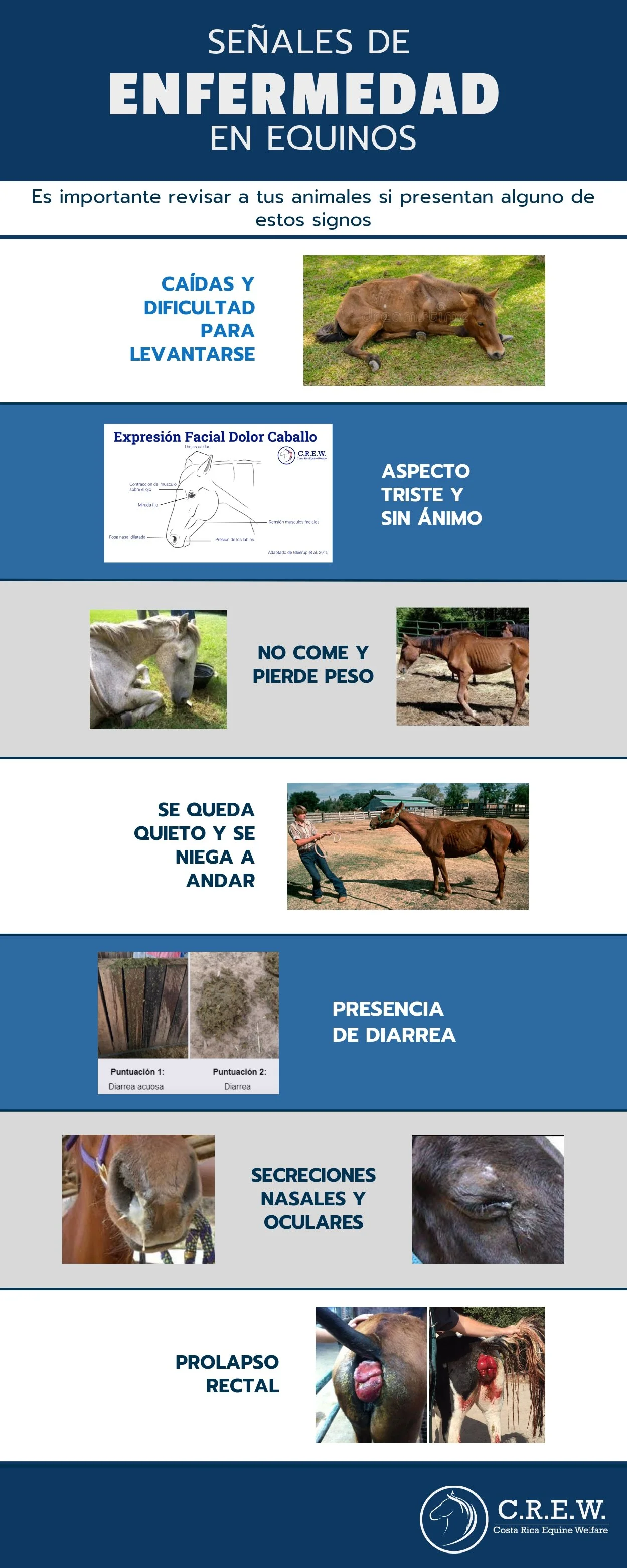 Signos de Enfermedad