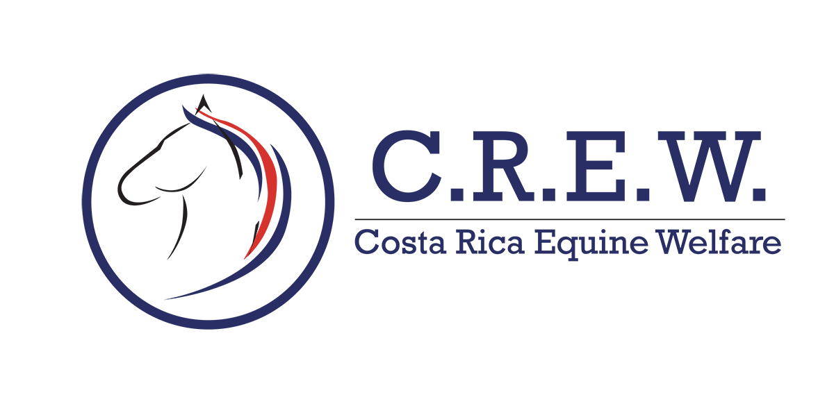 Costa Rica Equine Welfare