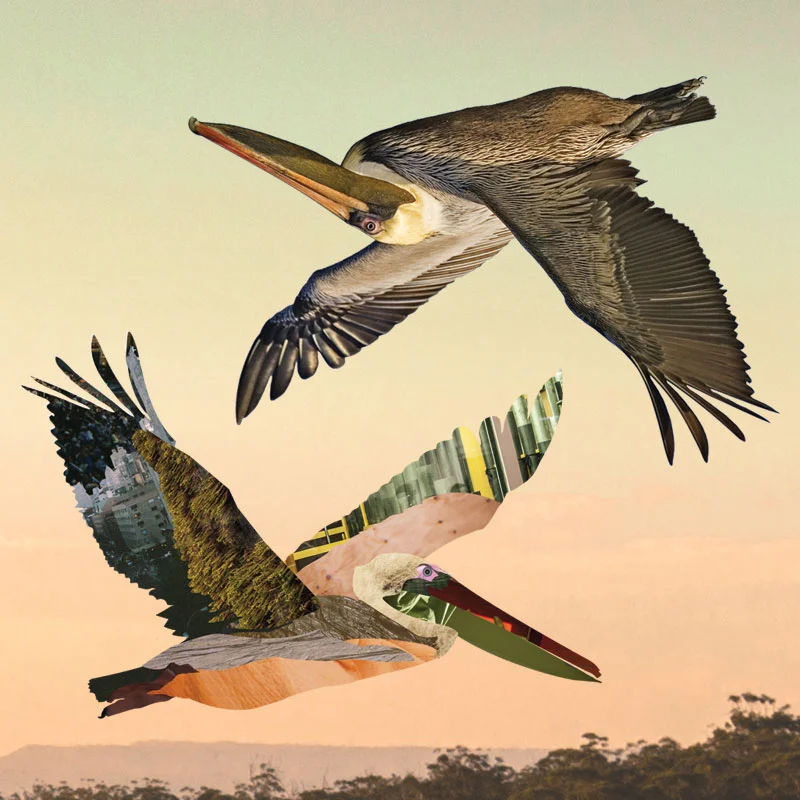 Sophie Allan on Storm Boy