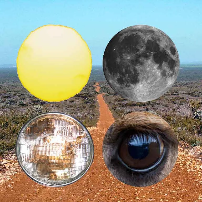 James Robert Douglas on Wake in Fright