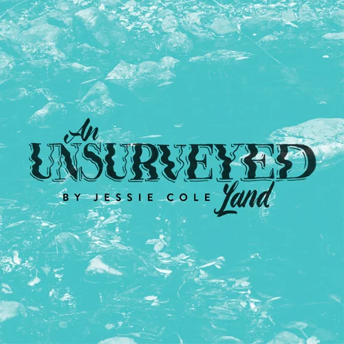 An Unsurveyed Land