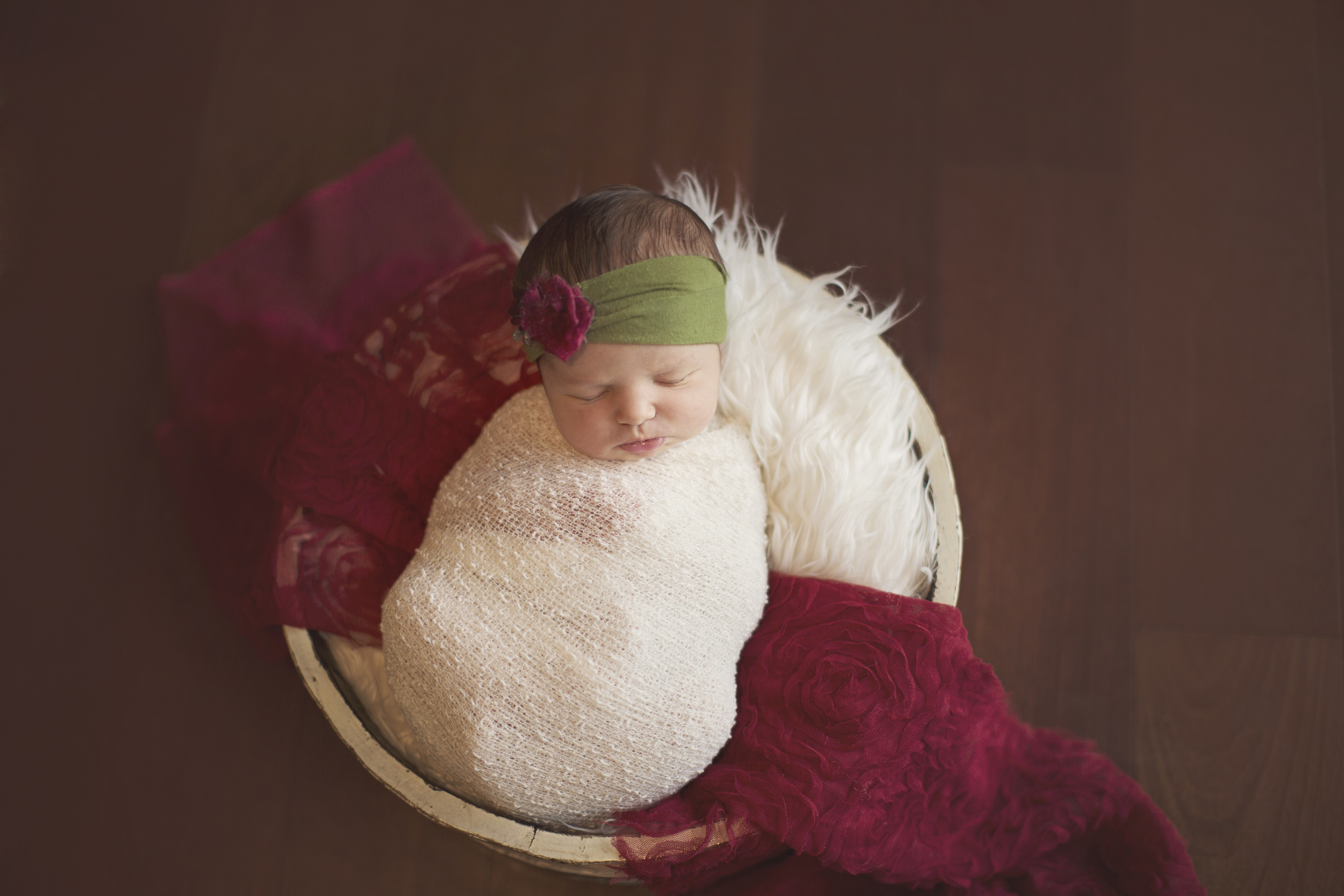 camden ny newborn photographer