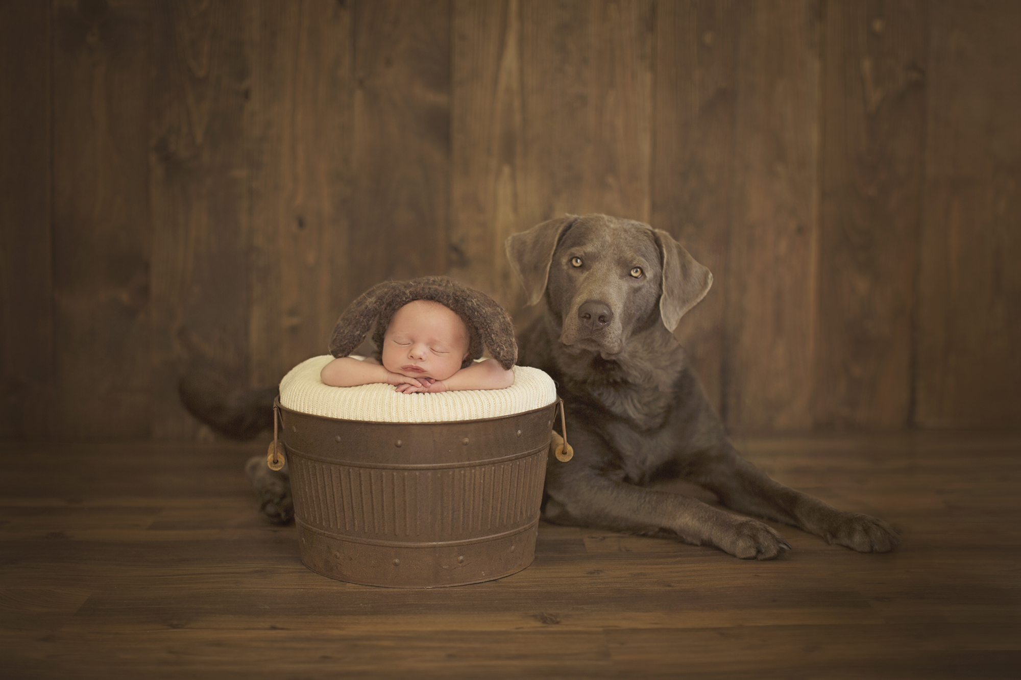 Camden NY newborn photographer