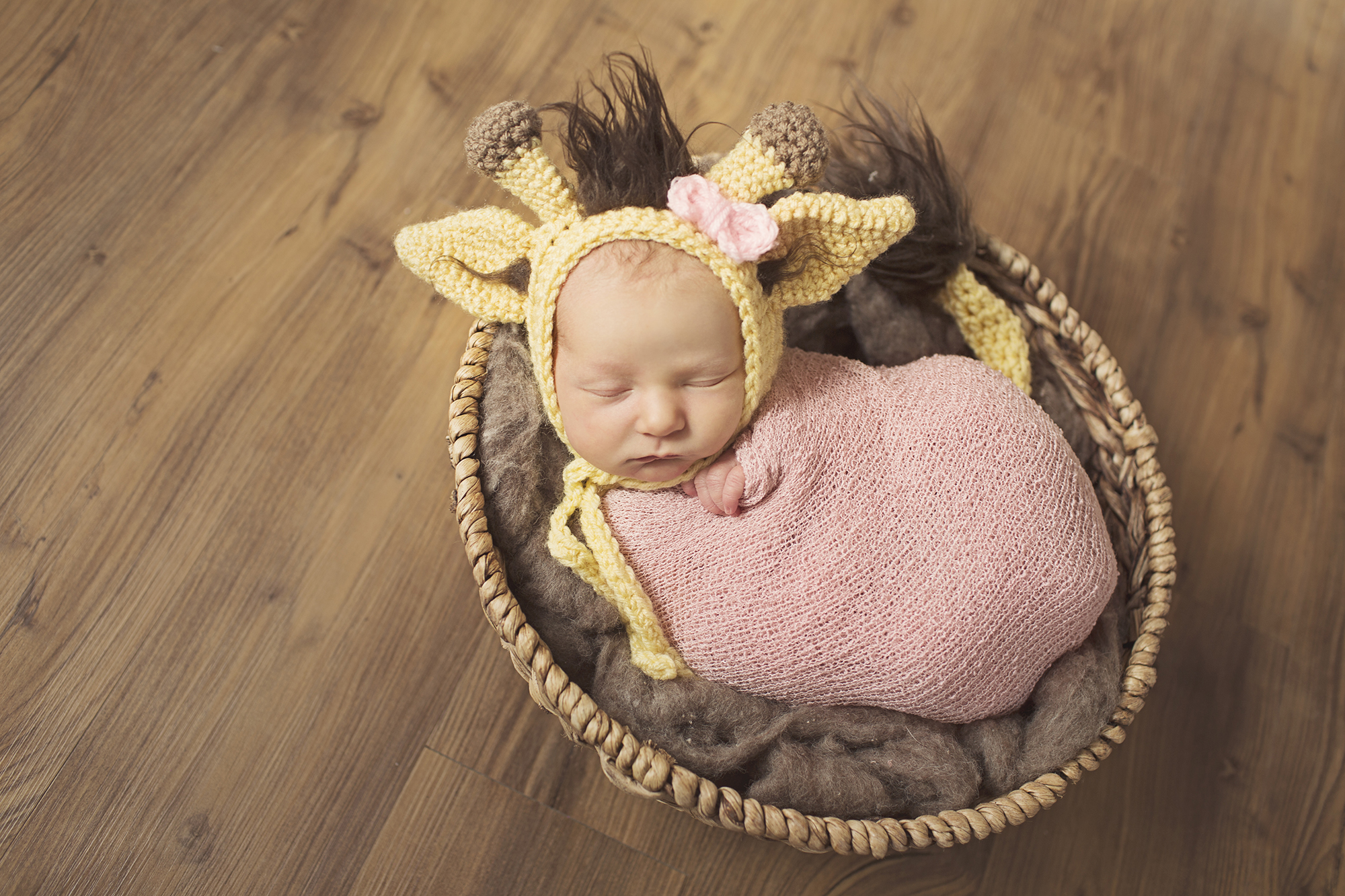 watertown NY newborn photographer