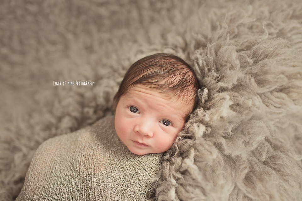 CNY newborn photographer