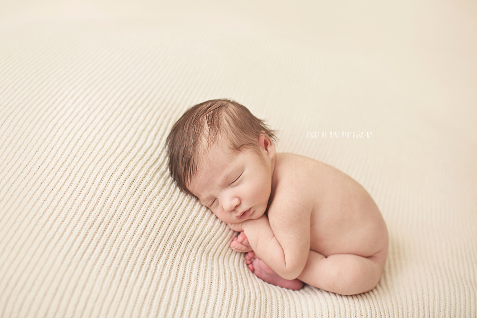 rome NY newborn photographer