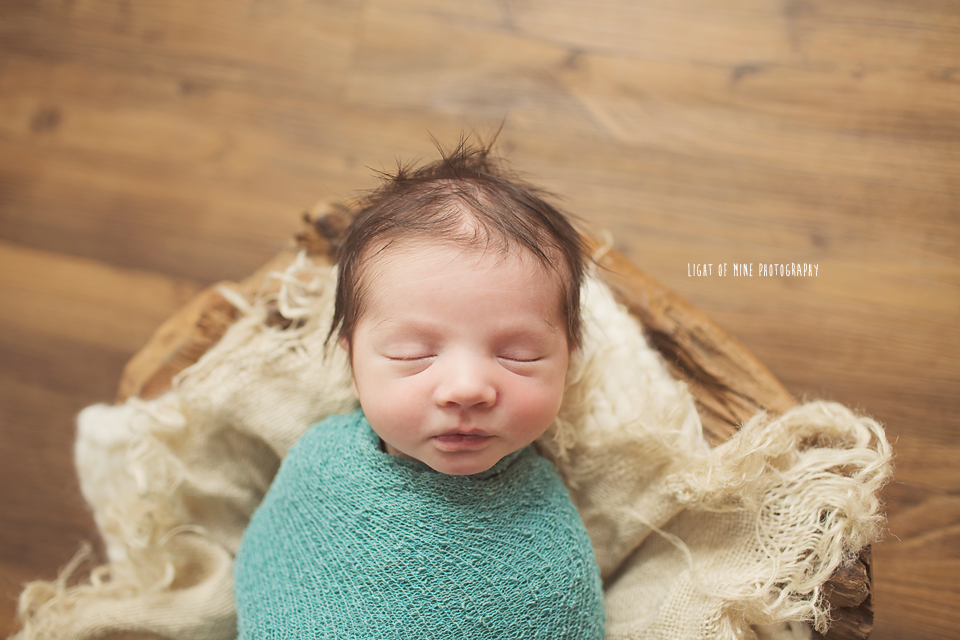 camden NY newborn photographer