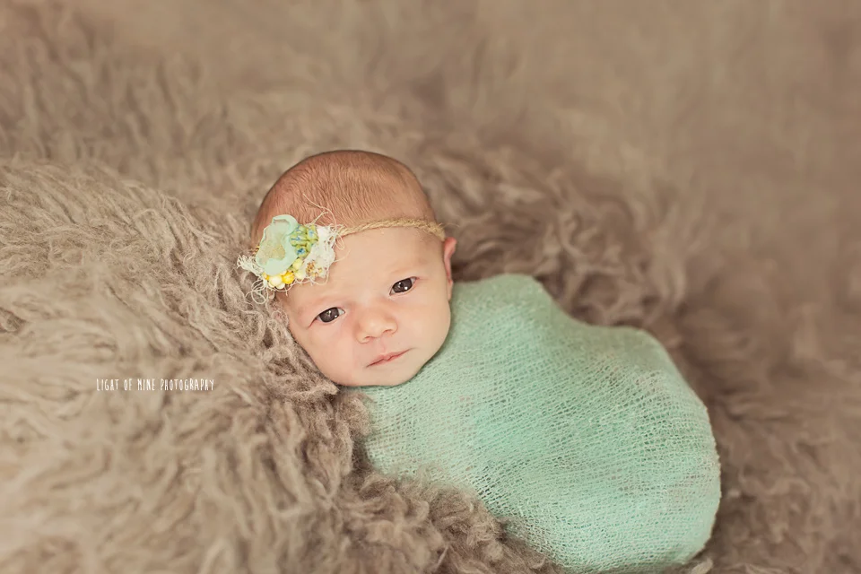 Watertown NY newborn photographer