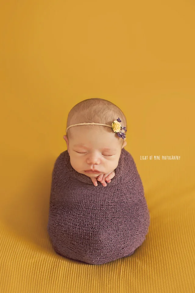 CNY newborn photographer