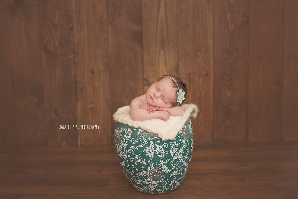 CNY newborn photography