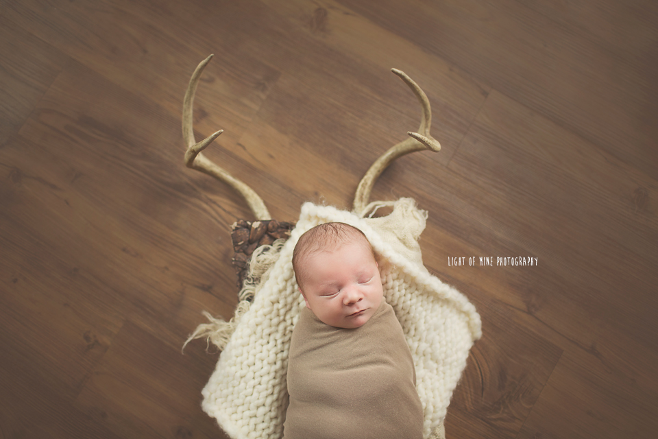 rome ny newborn photographer