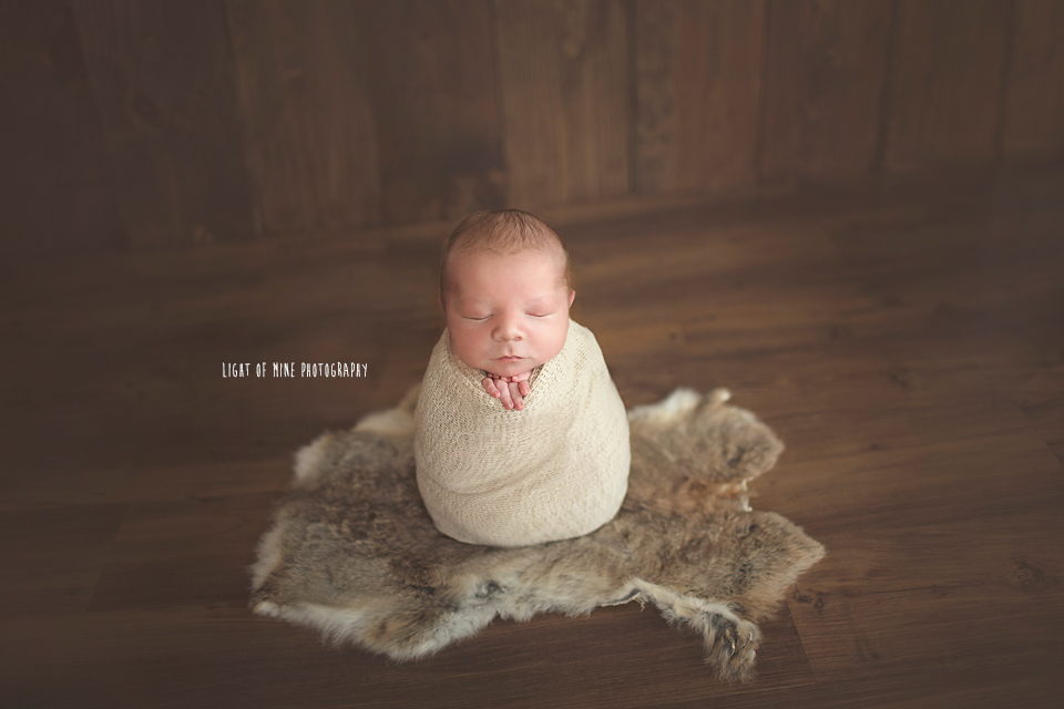 rome ny newborn photographer