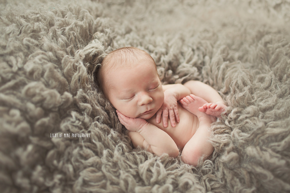 syracuse NY newborn photographer