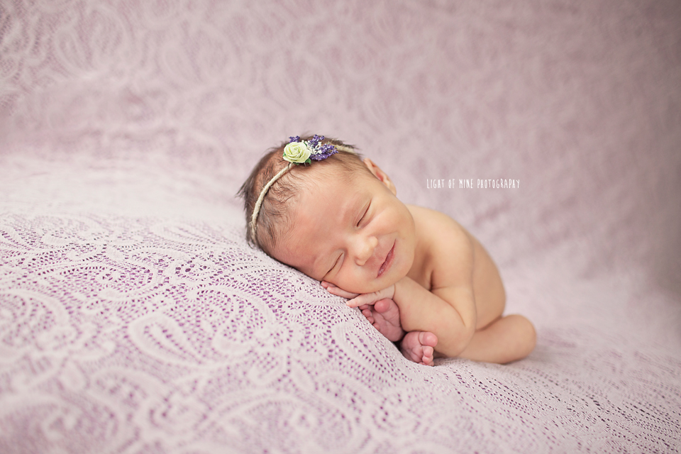 CNY newborn Photographer