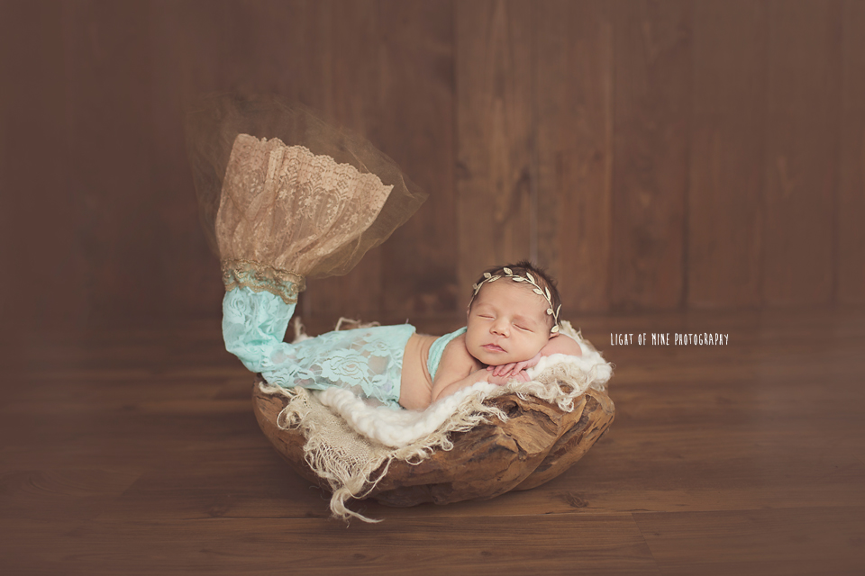 Camden NY newborn Photographer