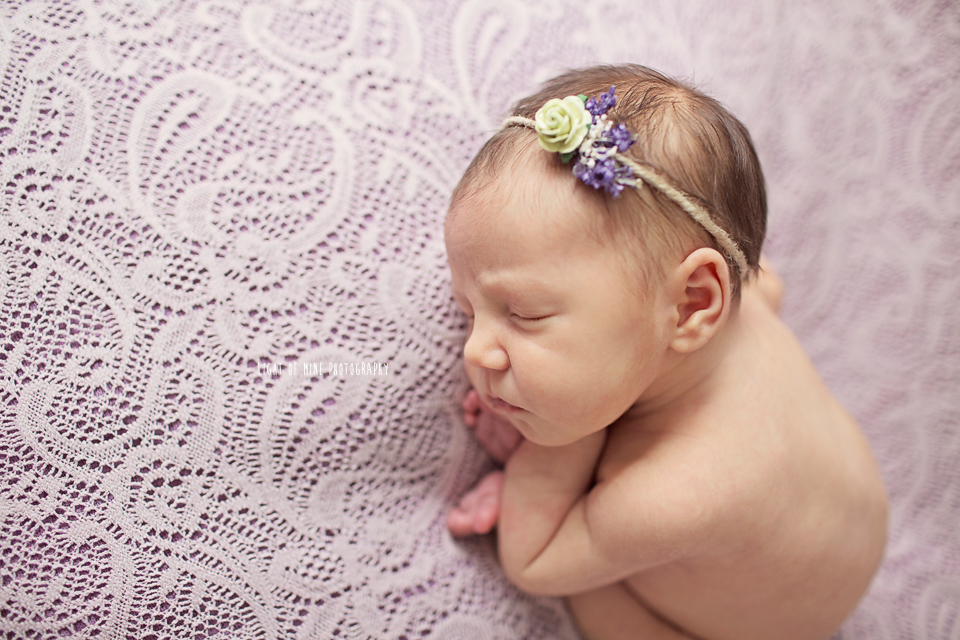 CNY newborn Photographer