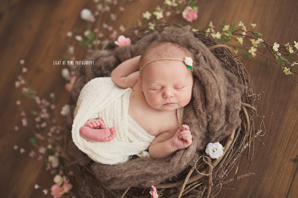 Oneida NY Newborn Photographer