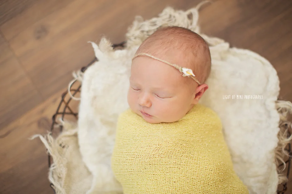 Syracuse NY Newborn Photographer