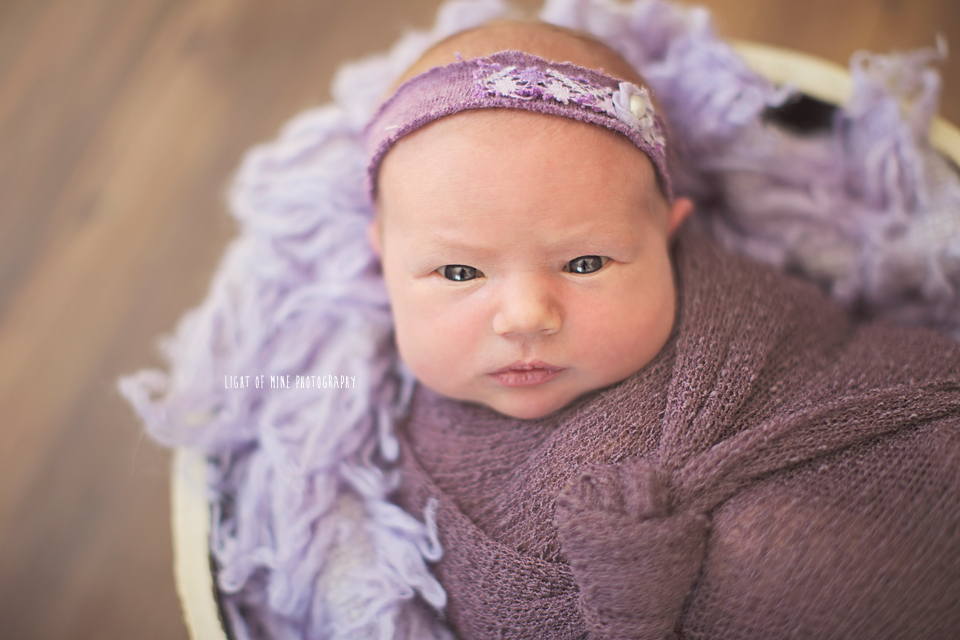 CNY Newborn Photographer