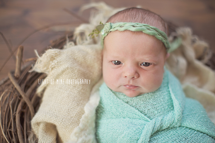 CNY Newborn Photographer