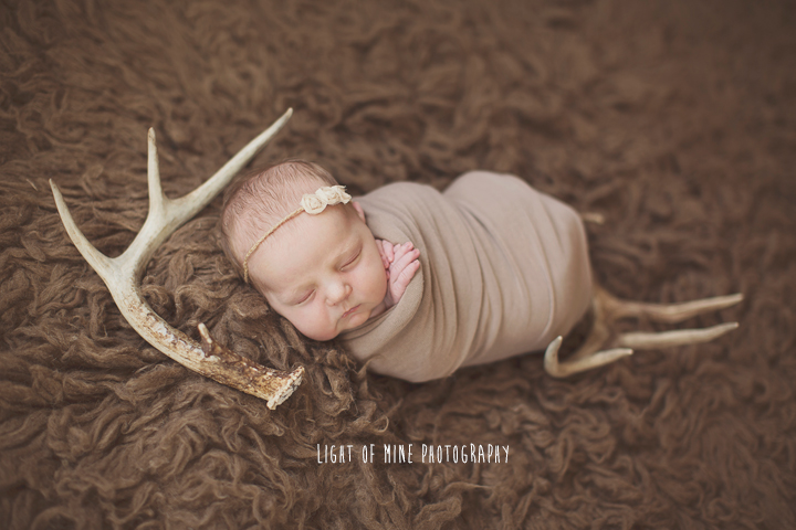 Syracuse NY Newborn Photographer